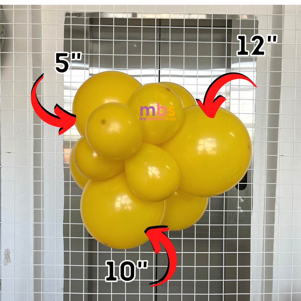【10 PCS】- 5 inch SKYTEX