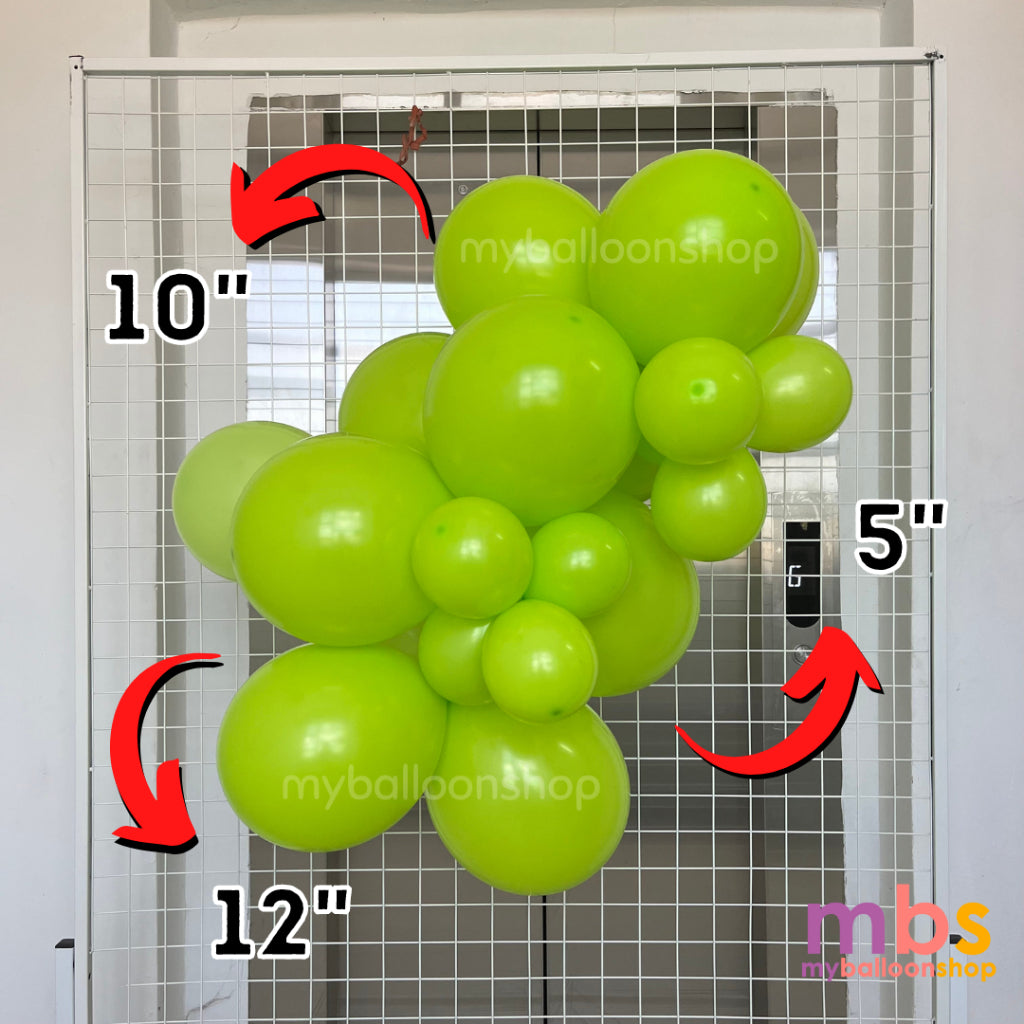 【Set】Dinosaur + Number