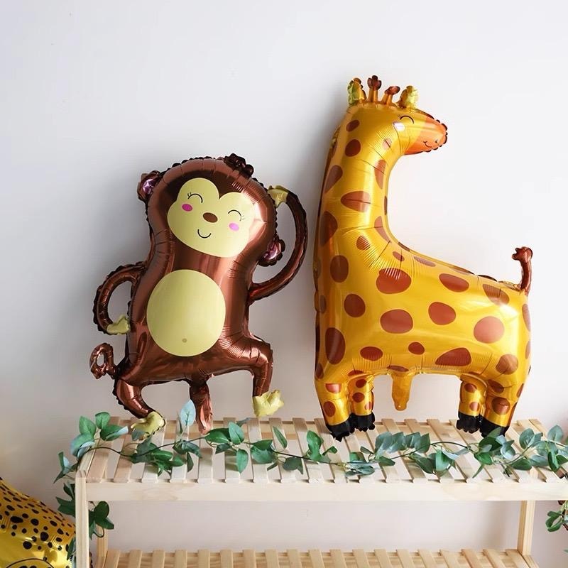 Cute Safari Collection